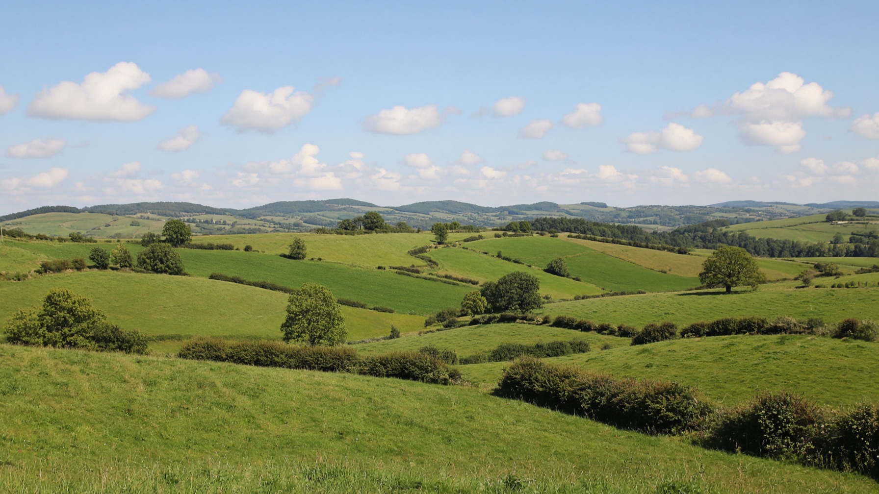 Rolling green fields in the Derbyshire countryside